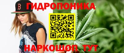 каннабис Новодвинск