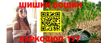 PSILOCYBIN Новозыбков