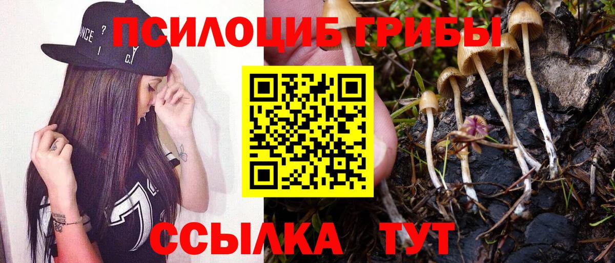 Галлюциногенные грибы Cubensis  Галлюциногенные грибы прущие грибы  Саров  где найти   Вход с VPN 
