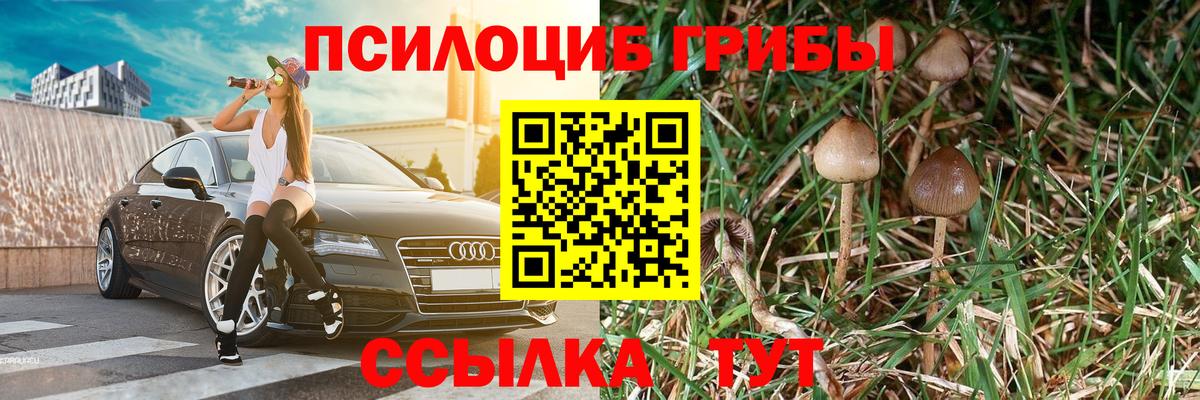 Псилоцибиновые грибы мицелий Саров
